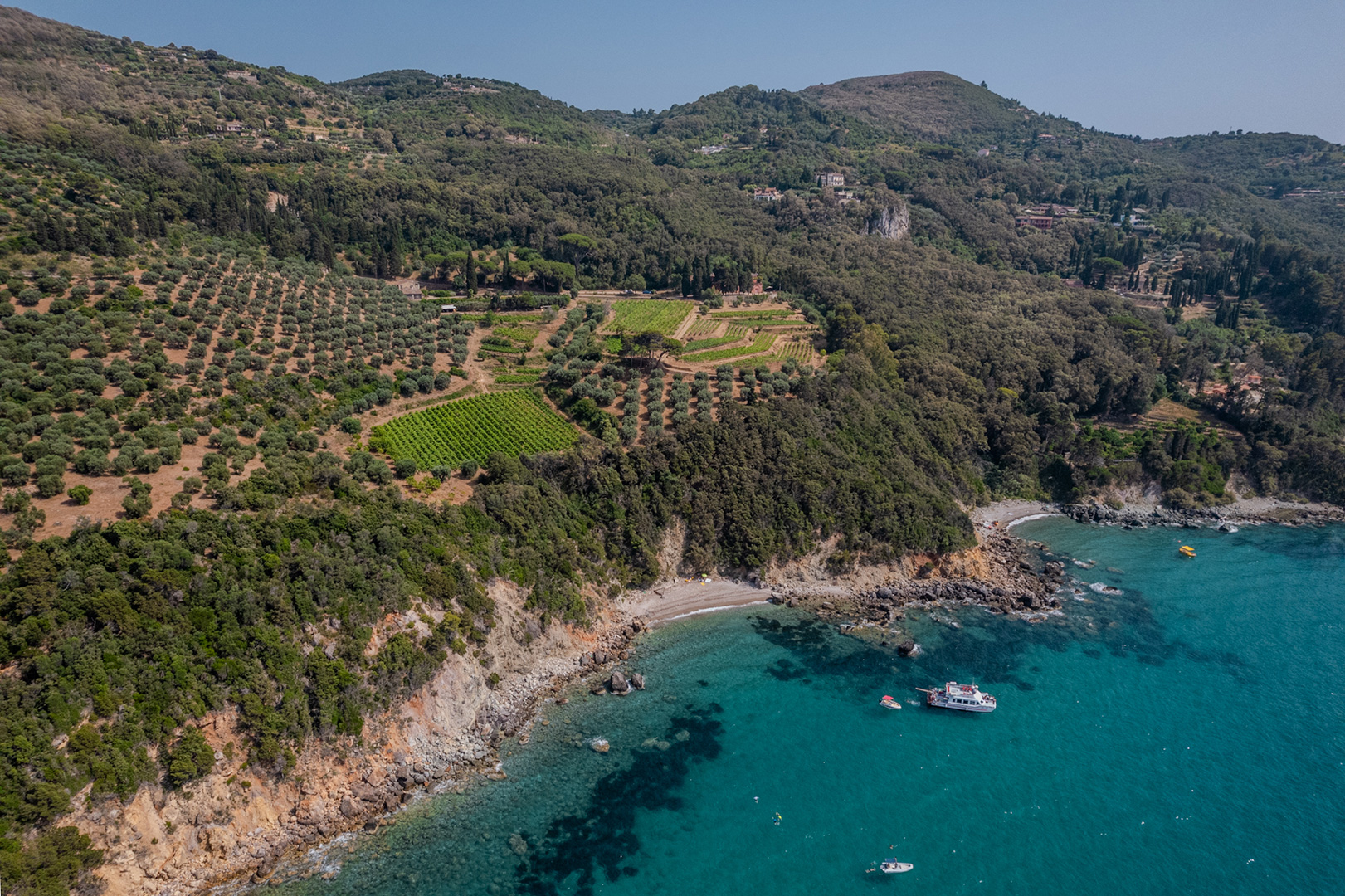 Image gallery marquee